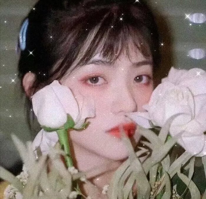第十二个人